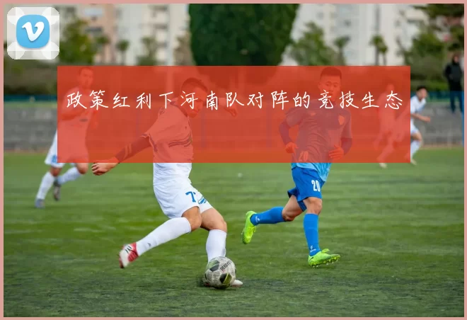 政策红利下河南队对阵的竞技生态