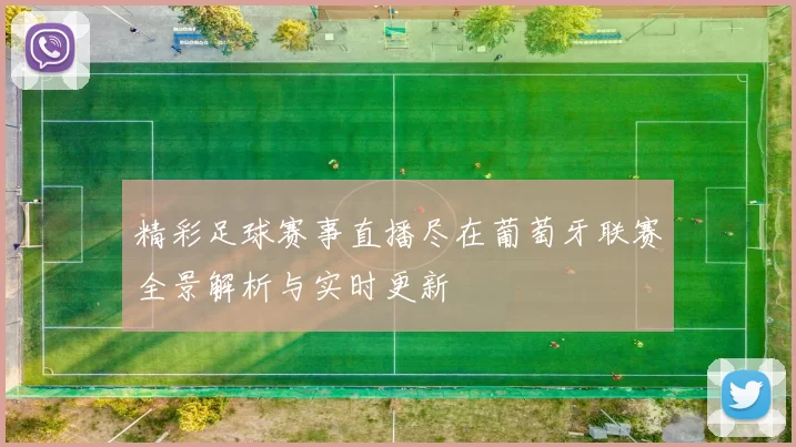 精彩足球赛事直播尽在葡萄牙联赛全景解析与实时更新