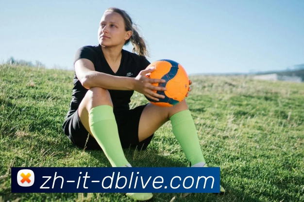 db真人首页发展历程