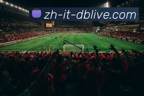 以篮球明星引领全球体育文化发展传奇故事之旅精彩篇章全景展现录